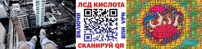 магазин продажи   darknet официальный сайт  ссылка на мегу как зайти  Наркотические марки 1,5мг  Кремёнки 