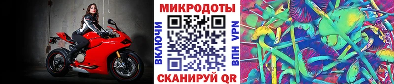 Псилоцибиновые грибы Psilocybine cubensis  купить наркотики сайты  Кремёнки 
